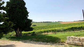 Apartment | View from property