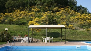 Outdoor pool - Homey Apartment in Borgo Pace (Borgo Pace)