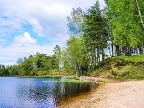 A lakeside view with a sandy beach, dense trees, and a clear sky. - 4 Person Holiday Home in Sandhem (Sandhem)