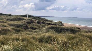 Un paysage côtier avec des dunes herbeuses, une plage et une étendue d’eau sous un ciel nuageux.