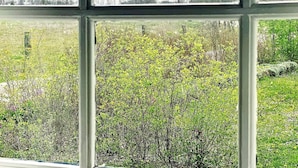 A view through a window with a metal frame, displaying a grassy field with trees and shrubs. - 4 Person Holiday Home in Lottorp (Löttorp)
