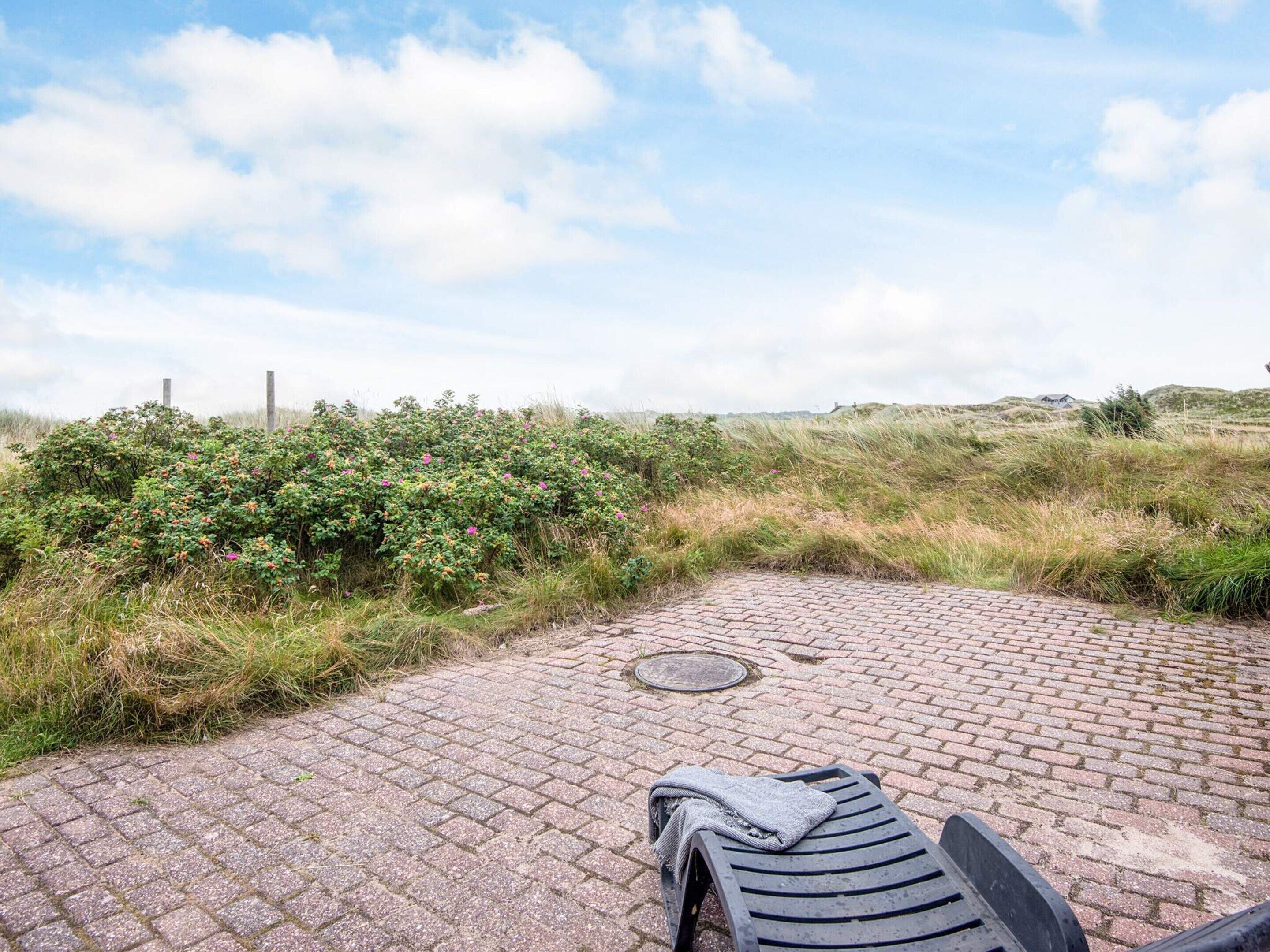 A paved pathway leading to a bench with a blanket, surrounded by lush greenery and a clear sky.