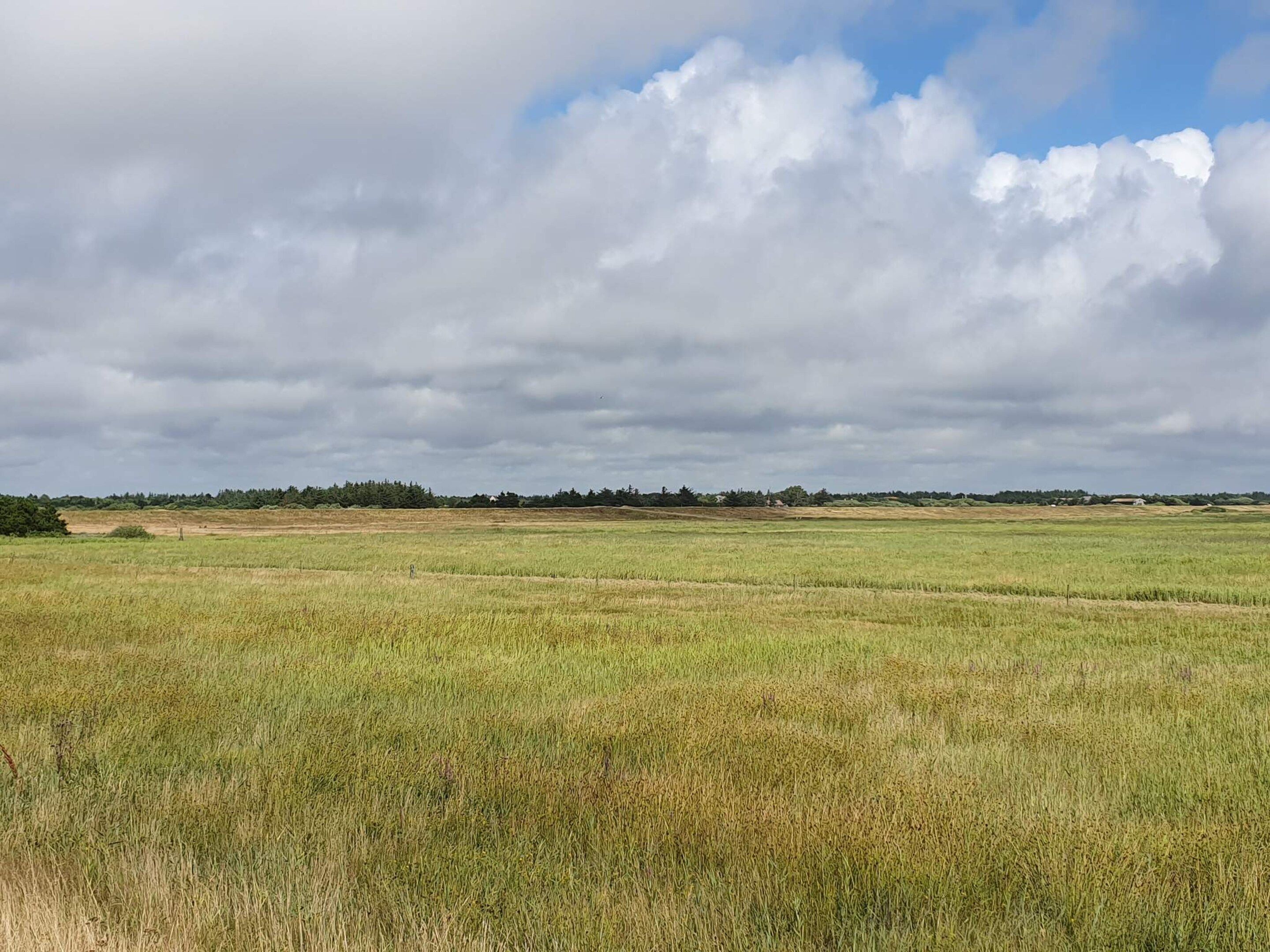 A vast open field with a distant tree line under a cloudy sky.