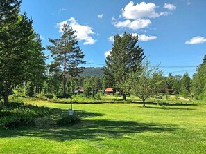 Un champ verdoyant, parsemé d’arbres, sous un ciel dégagé.
