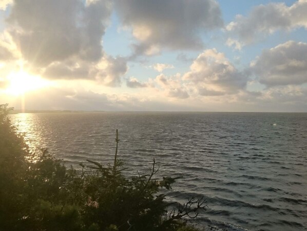 A coastal view with the sun setting over the ocean, a clear sky, and some vegetation in the foreground. - 4 Person Holiday Home in Ulfborg (Ulfborg)