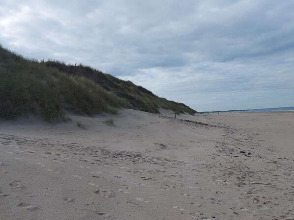 Beach - Holiday Home in Pandrup (Pandrup)