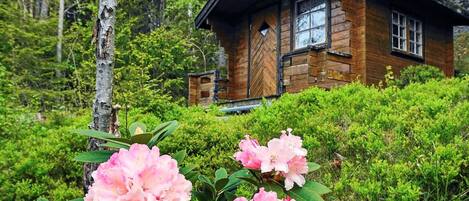 Casa | Exterior