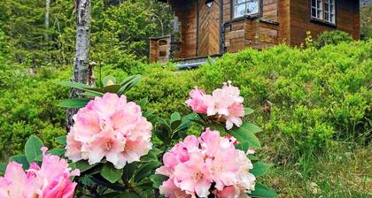 6 Person Holiday Home in Henan