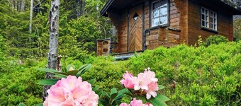 6 Person Holiday Home in Henan