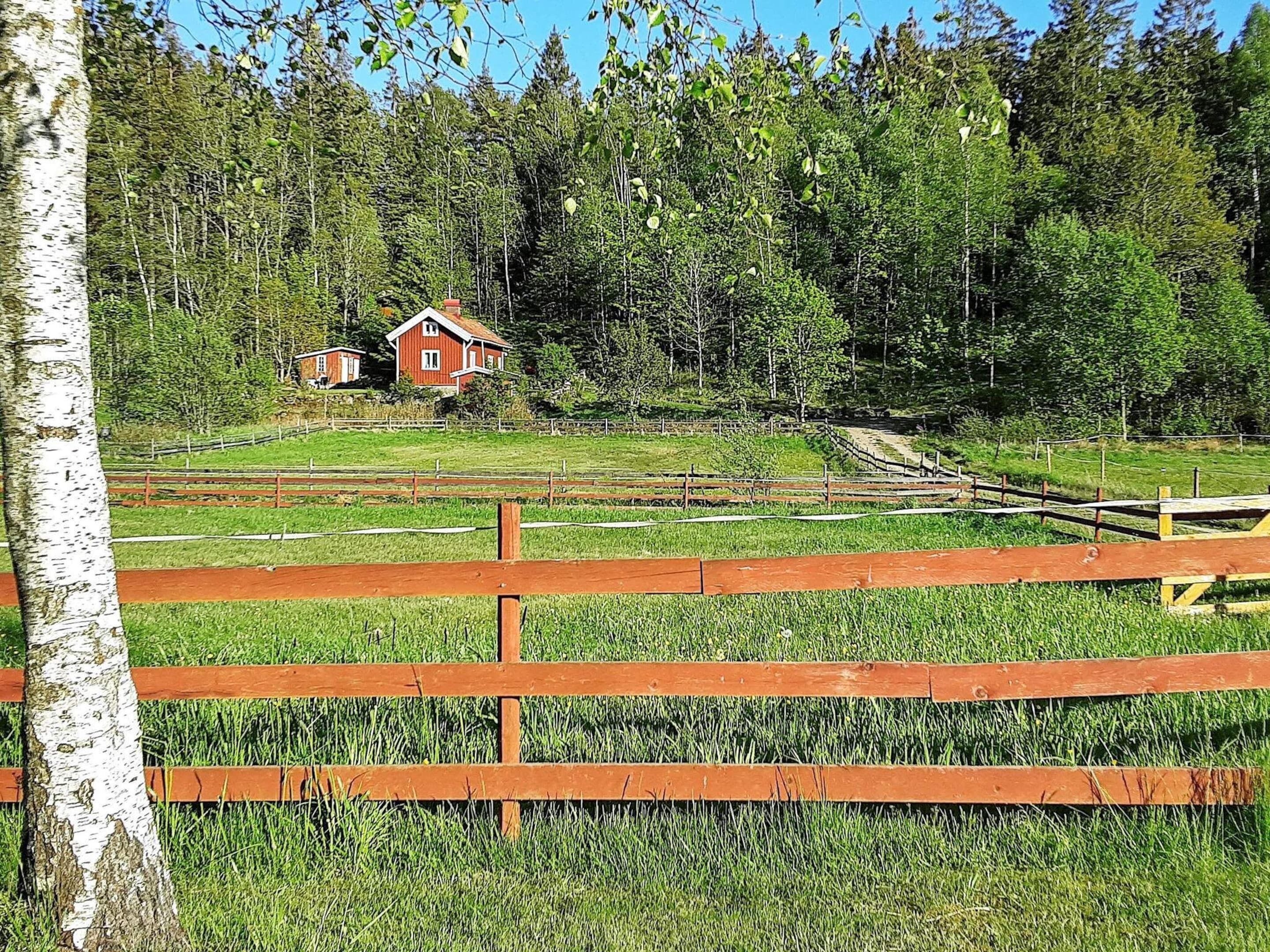 A rural landscape with a wooden fence, a red house, and a forest in the background.