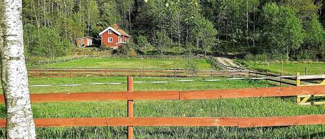 A rural landscape with a wooden fence, a red house, and a forest in the background.