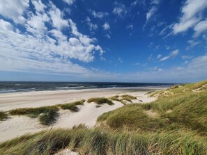 A beach with sand dunes and a clear sky. - 4 Person Holiday Home in Norre Nebel (Norre Nebel)