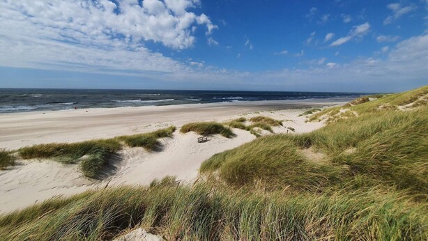 A beach with sand dunes and a clear sky. - 4 Person Holiday Home in Norre Nebel (Norre Nebel)