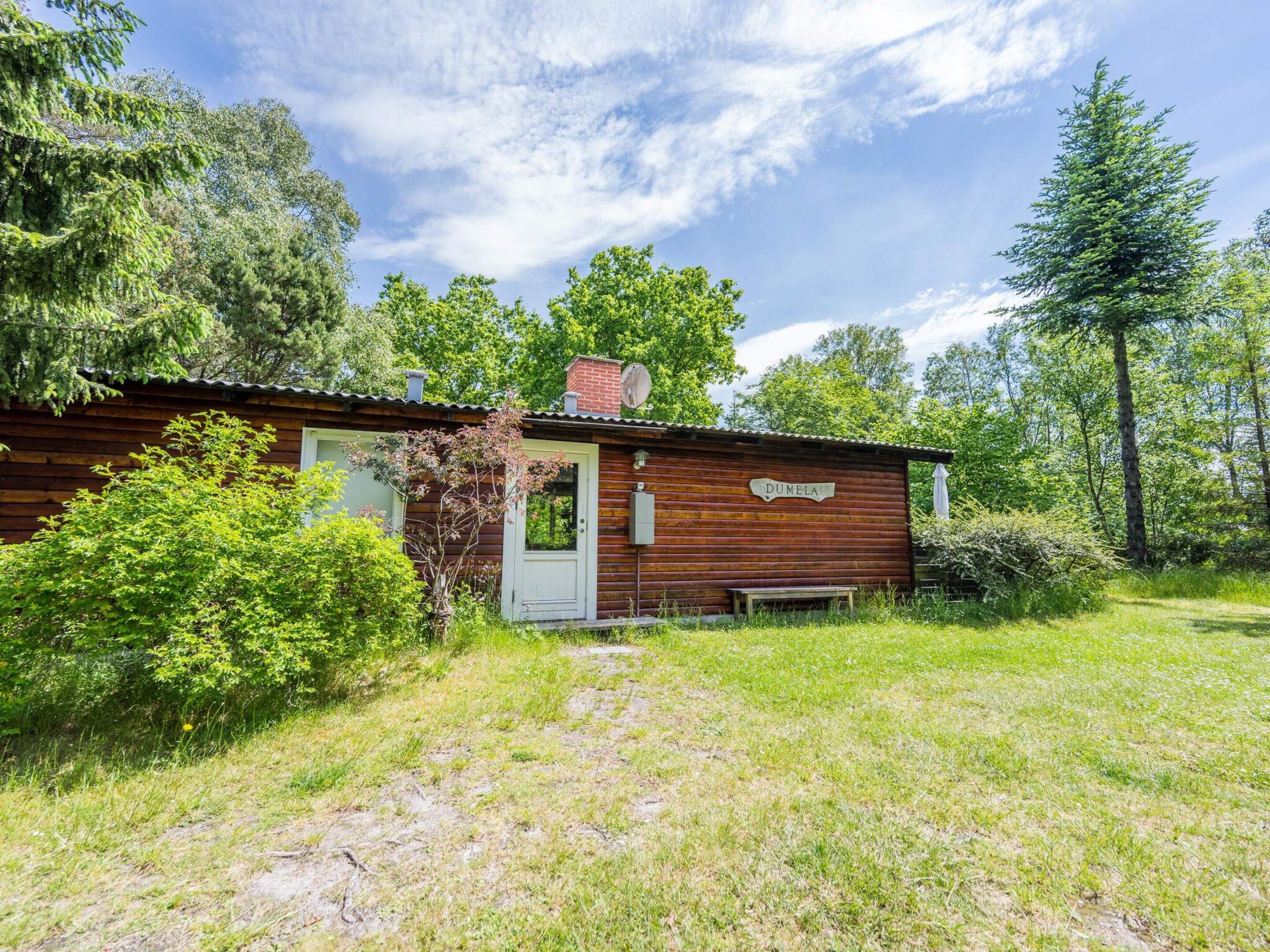 A rustic cabin with a wooden exterior, a chimney, and a door labeled 'DUNELA.'