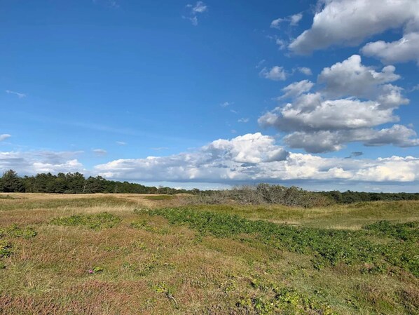 บ้านพัก | อื่นๆ