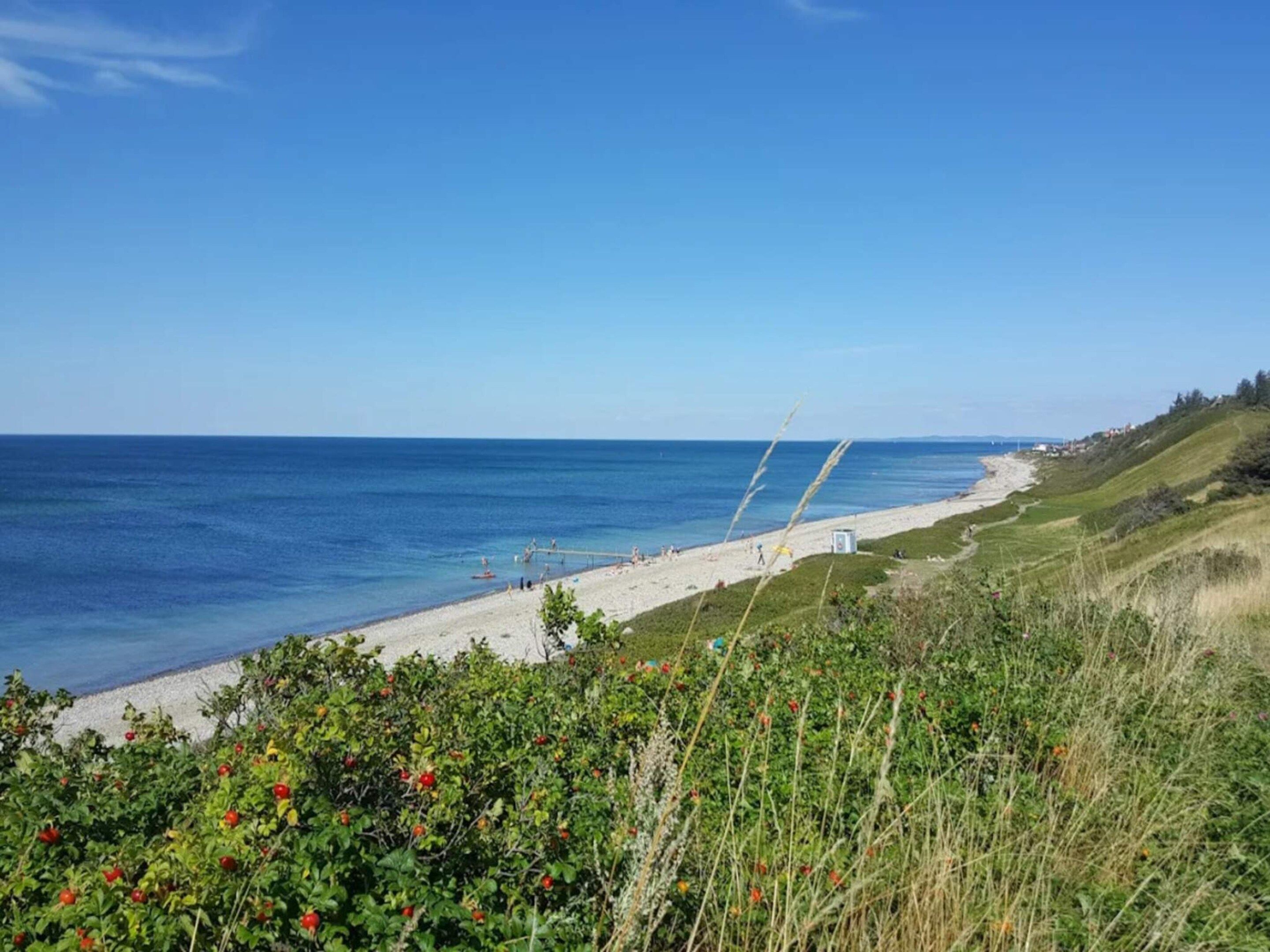 A coastal landscape with a beach, clear sky, and vegetation.