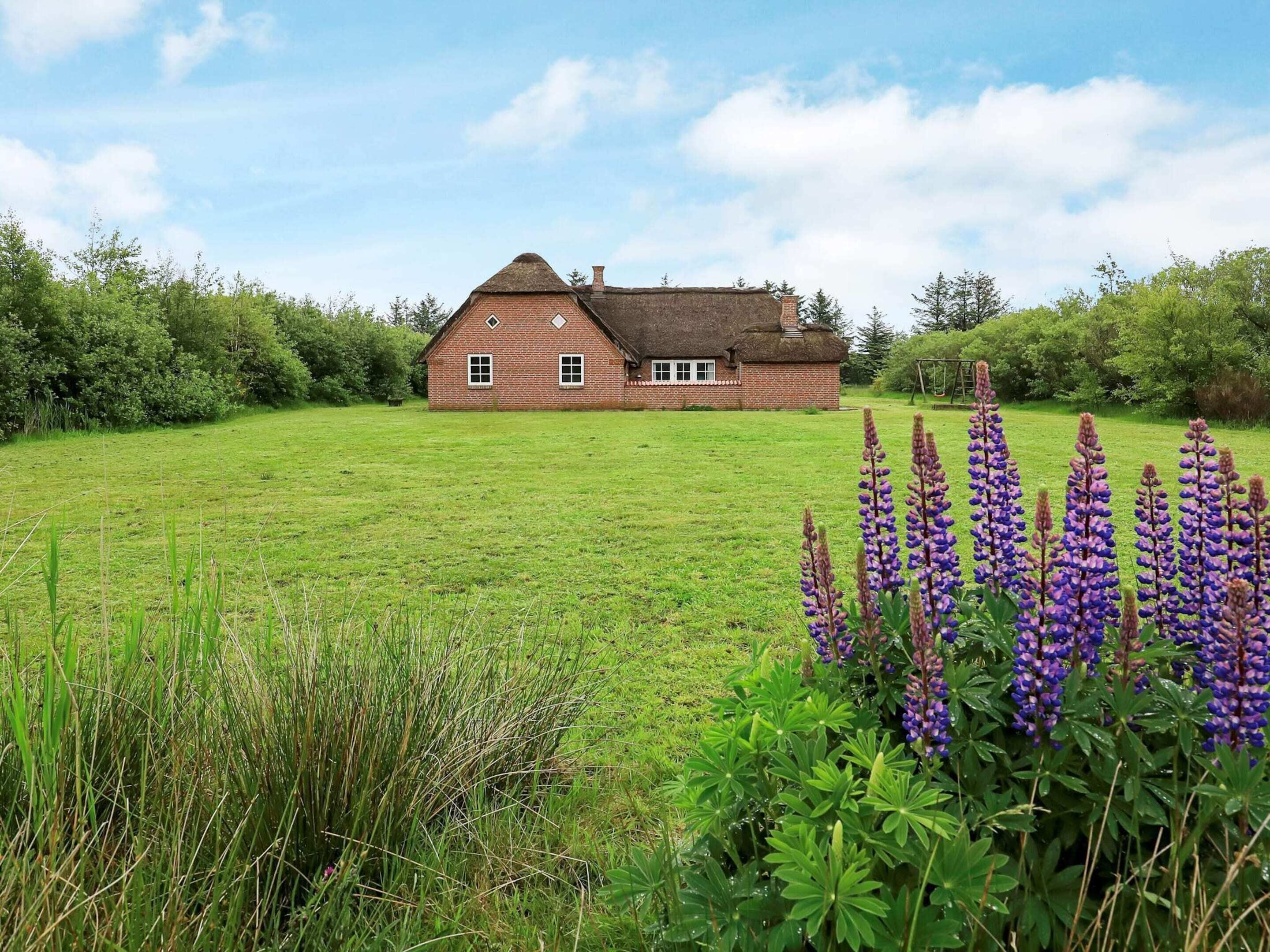 House | View from property