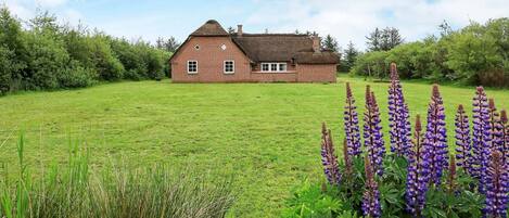 Une maison à toit de chaume, située dans un champ verdoyant, entourée d’une végétation luxuriante et de fleurs violettes.