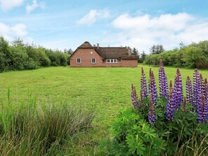 Ferienhaus | Blick von der Unterkunft