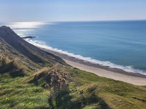 Paisagem costeira com uma praia, encostas gramadas e céu claro.