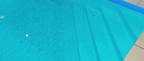 Une piscine aux eaux d’un bleu limpide, dont on peut voir les carreaux et qui est bordée de carreaux.