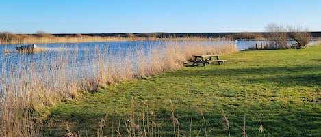 House | Water view