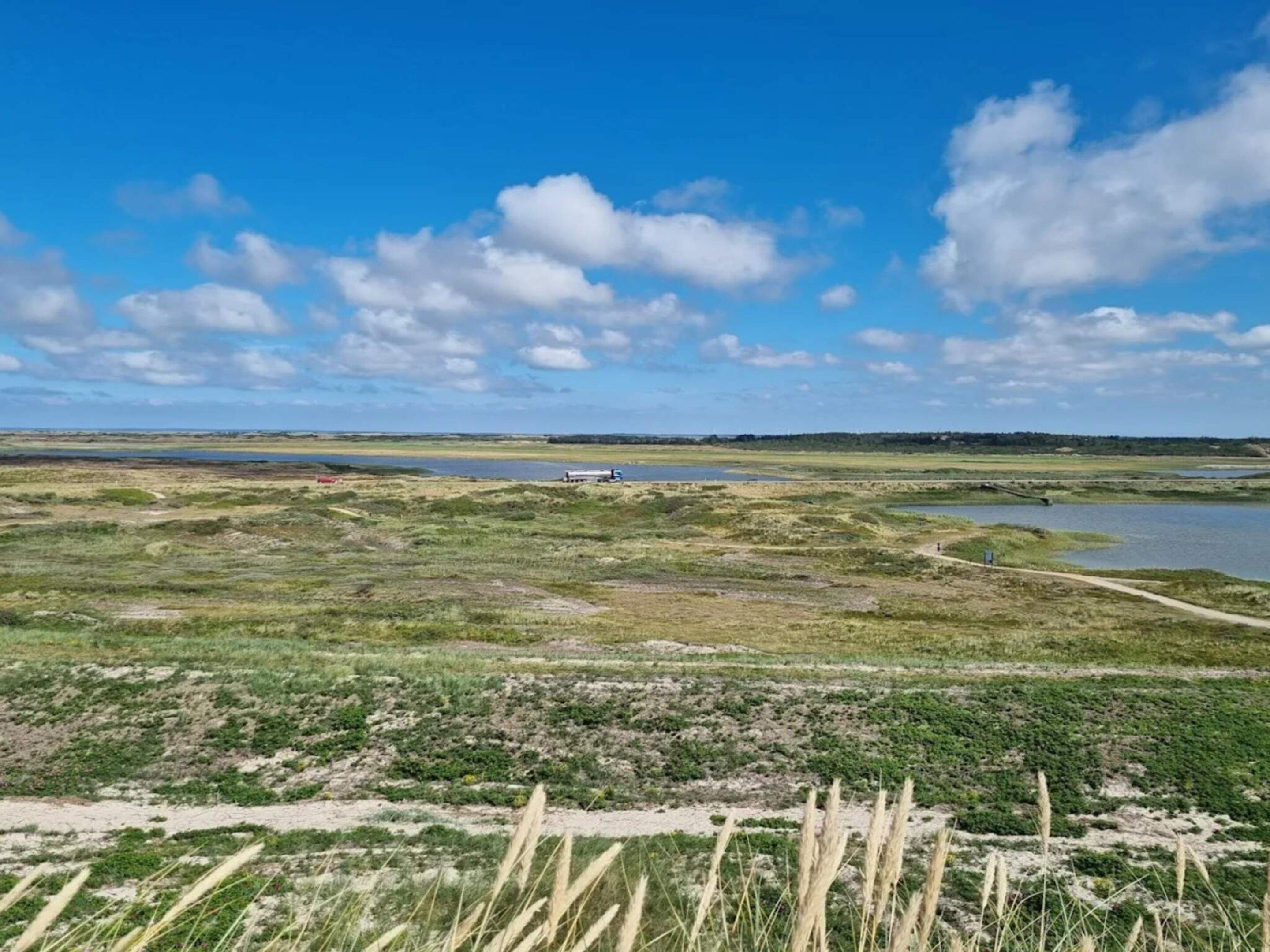 A flat landscape with sparse vegetation, a dirt path, and a distant body of water.