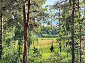 A forested area with tall trees and a body of water in the background. - Seaside Charm on Okno Island-by Traum (Monsteras)
