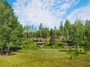 Eksteriør