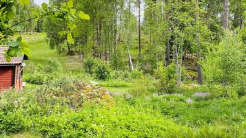 A forested area with a red building, likely a cabin, surrounded by dense greenery and trees.