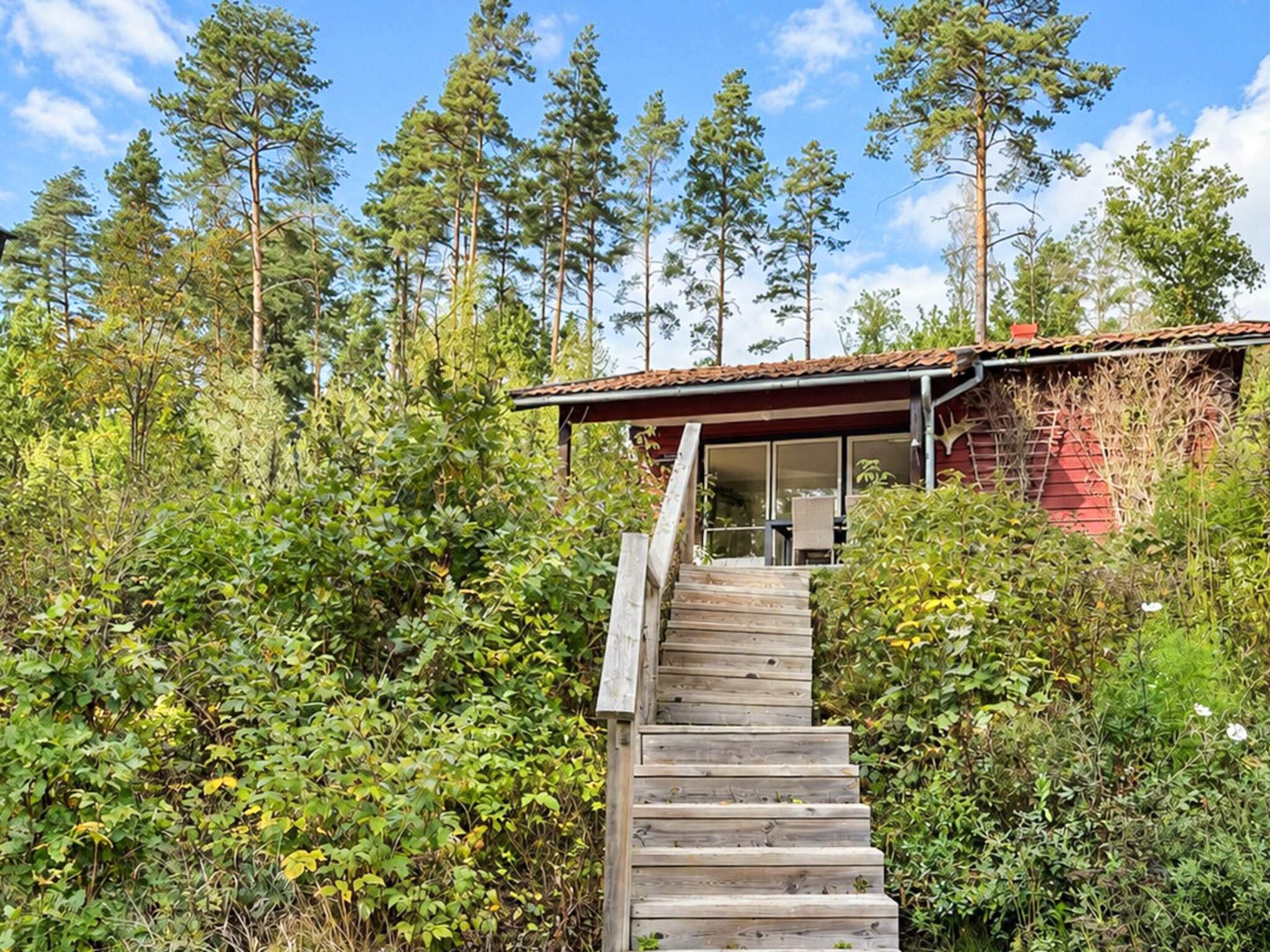 A wooden staircase leading to a red-roofed building surrounded by dense greenery and tall trees.