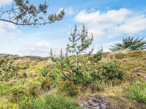 Casa | Vista desde la propiedad