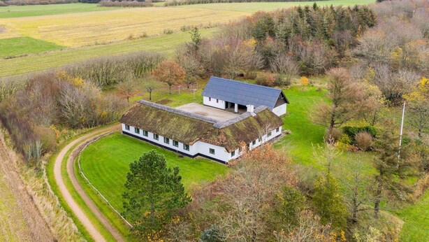 A white building with a thatched roof surrounded by green fields and trees. - 4 Person Holiday Home in Norre Nebel (Norre Nebel)
