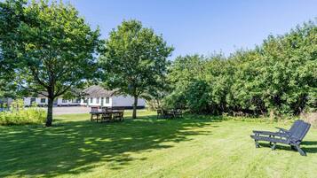 House | Property grounds