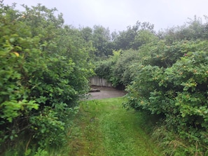 House | Property grounds