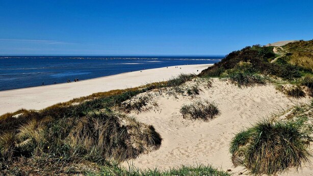 A beach with sand dunes and a clear blue sky. - 4 Star Holiday Home in Blavand (Blavand)