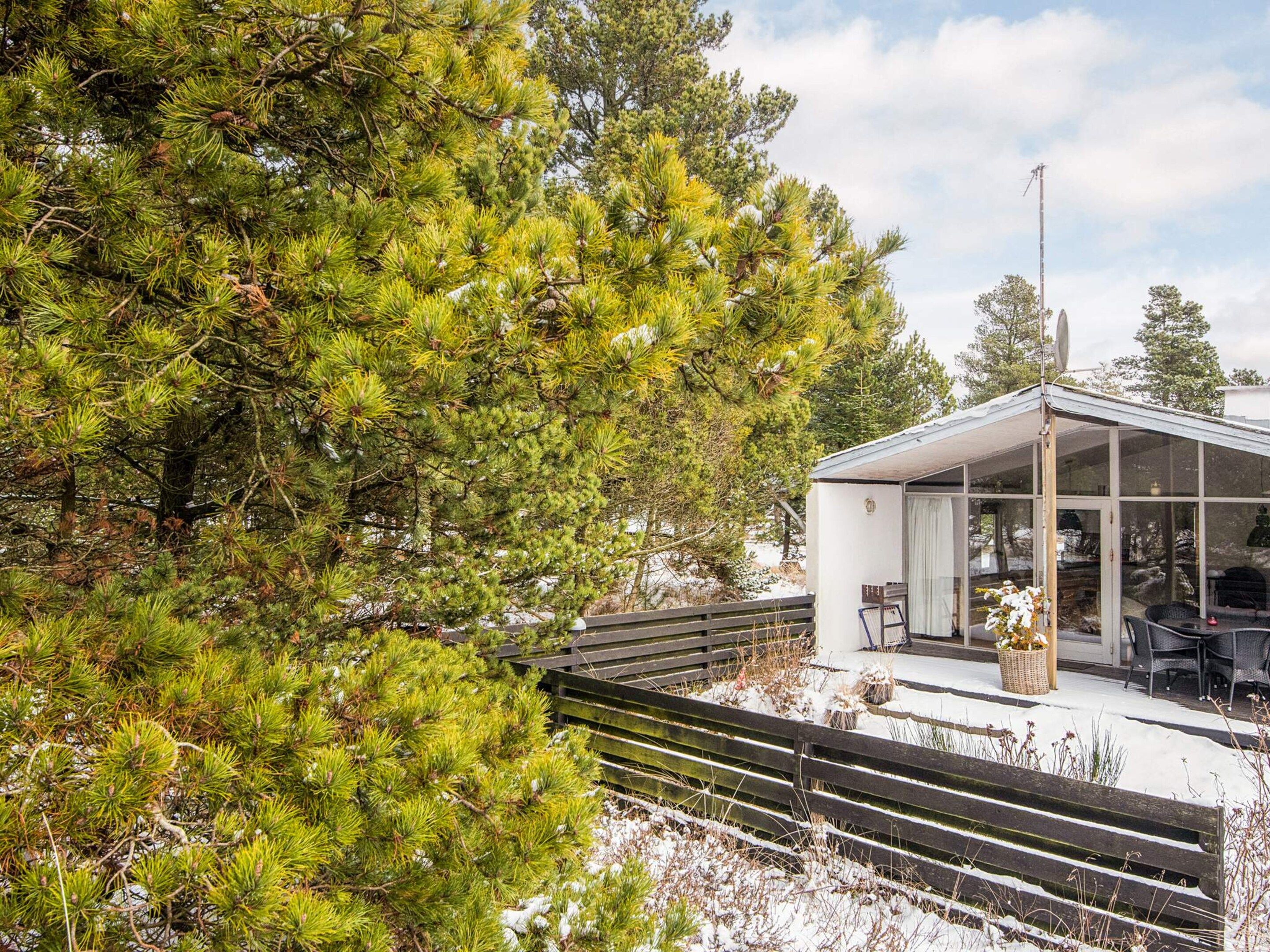 A modern cabin with a glass enclosure, surrounded by dense coniferous trees and a wooden deck.