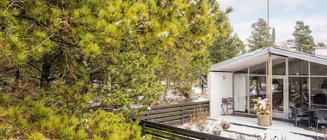 A modern cabin with a glass enclosure, surrounded by dense coniferous trees and a wooden deck.