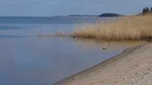 A calm beach with clear water, a sandy shore, and tall grasses. - 5 Star Holiday Home in Hemmet (Hemmet)