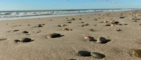En strand med stenar utspridda här och där och en klar himmel.