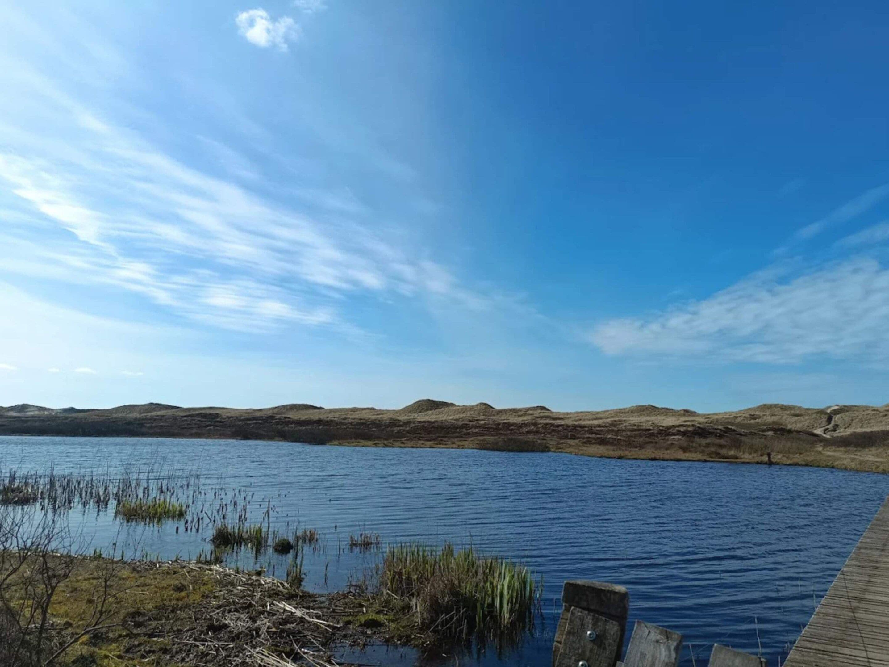 A calm lake with a wooden dock extending into the water, surrounded by grassy hills under a clear sky.