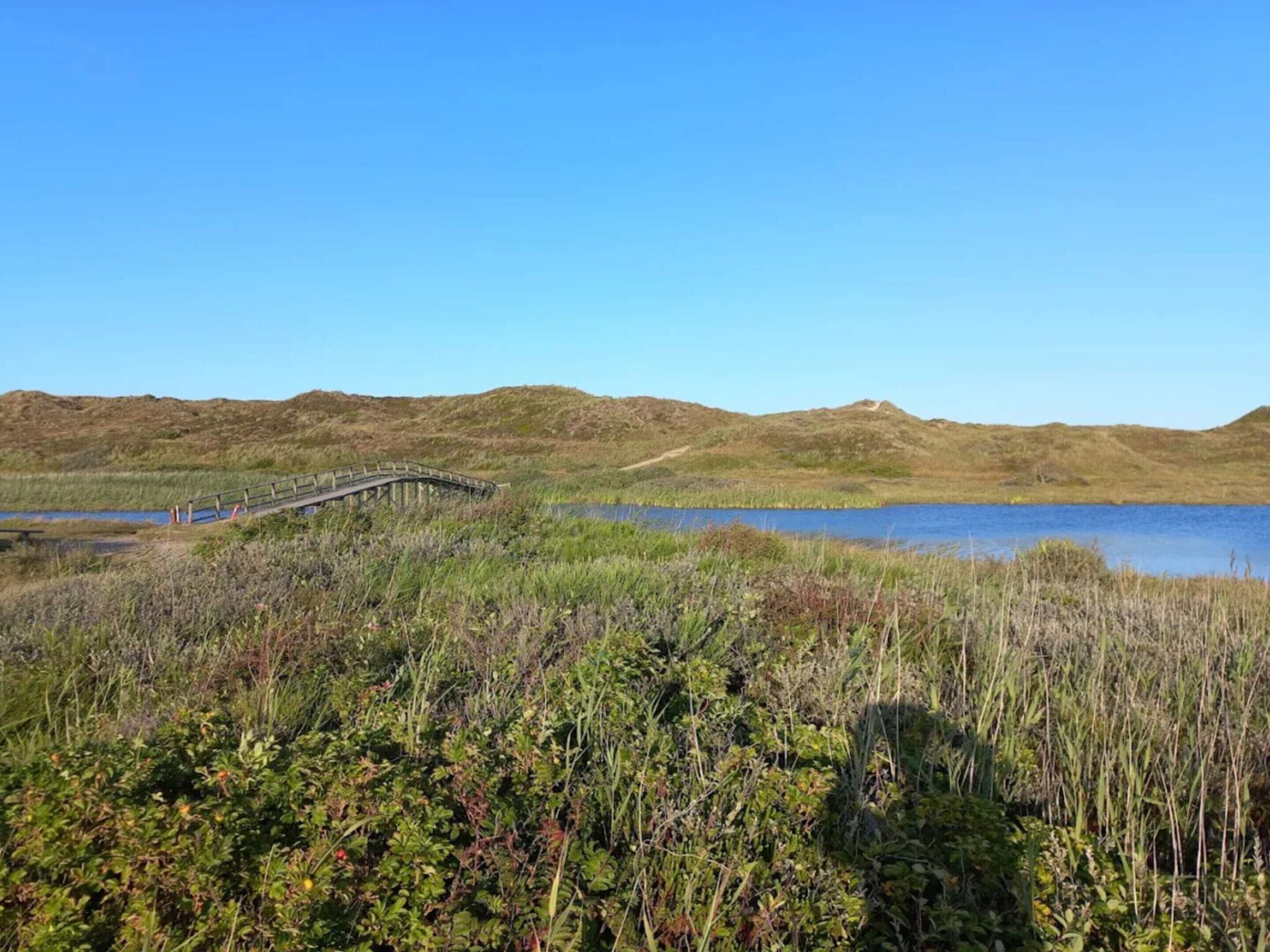 Utsikt mot vann