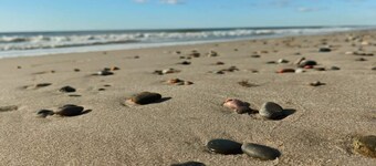 Luxury Retreat by Heathland-by Traum