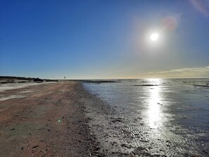 A beach with a clear sky, a road, and a signpost. - 4 Star Holiday Home in Fano (Fano)