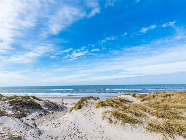 Une plage avec des dunes de sable et un ciel bleu dégagé.