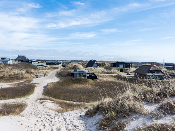 A coastal landscape with modern beach houses, sandy paths, and dunes.