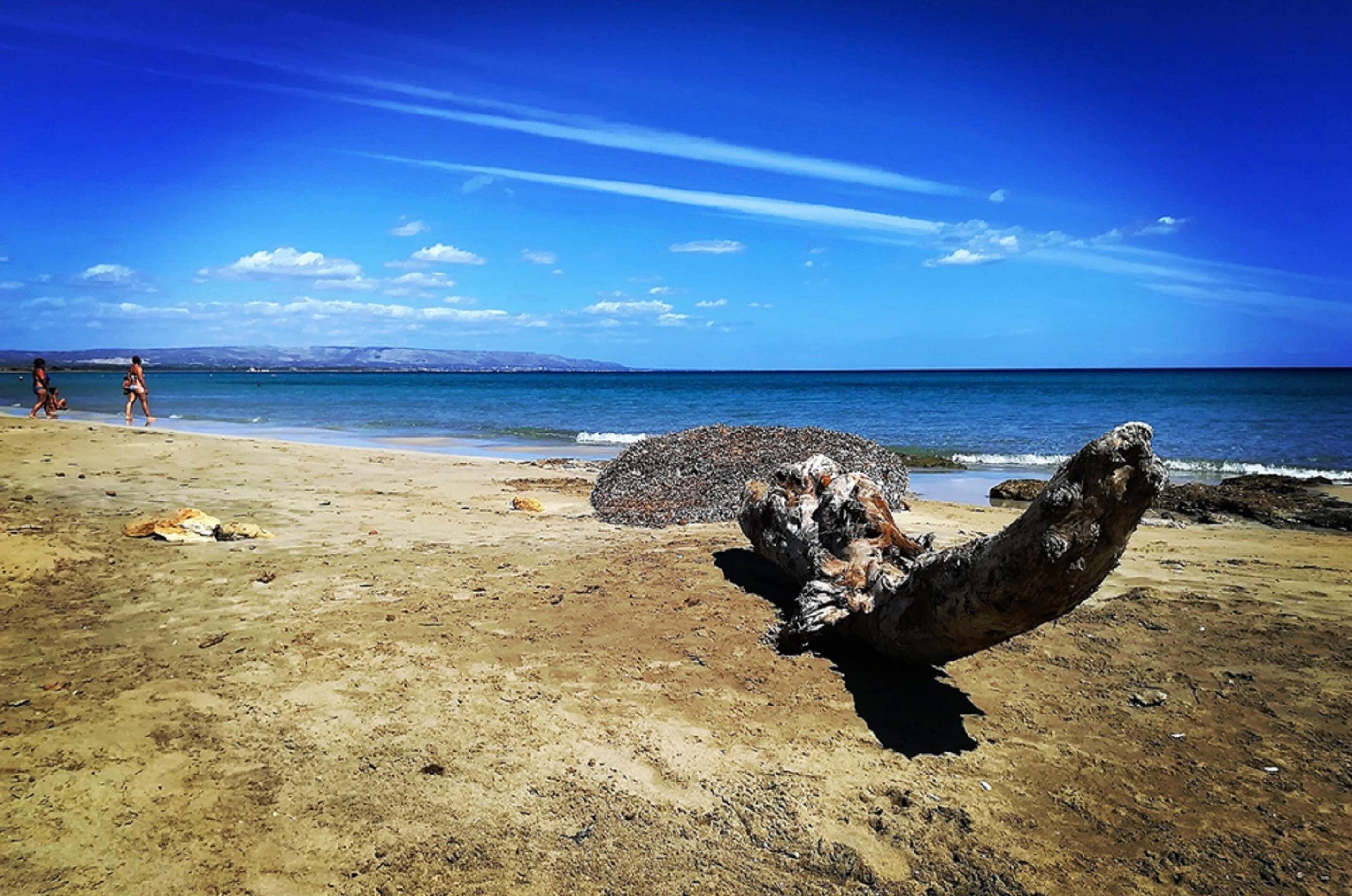 Apartment | Blick von der Unterkunft