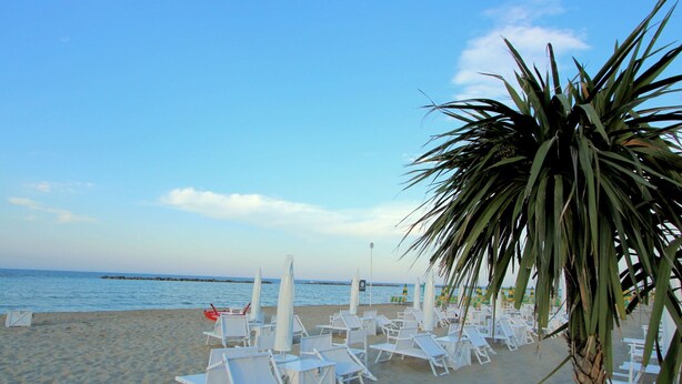 Una playa con sillas de descanso blancas y una palmera.