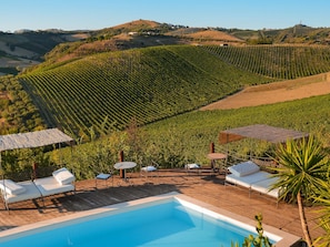 A poolside area with lounge chairs and a view of vineyard rows. - Pretty Apartment in Ascoli Piceno with Hot Tub (Ripatransone)