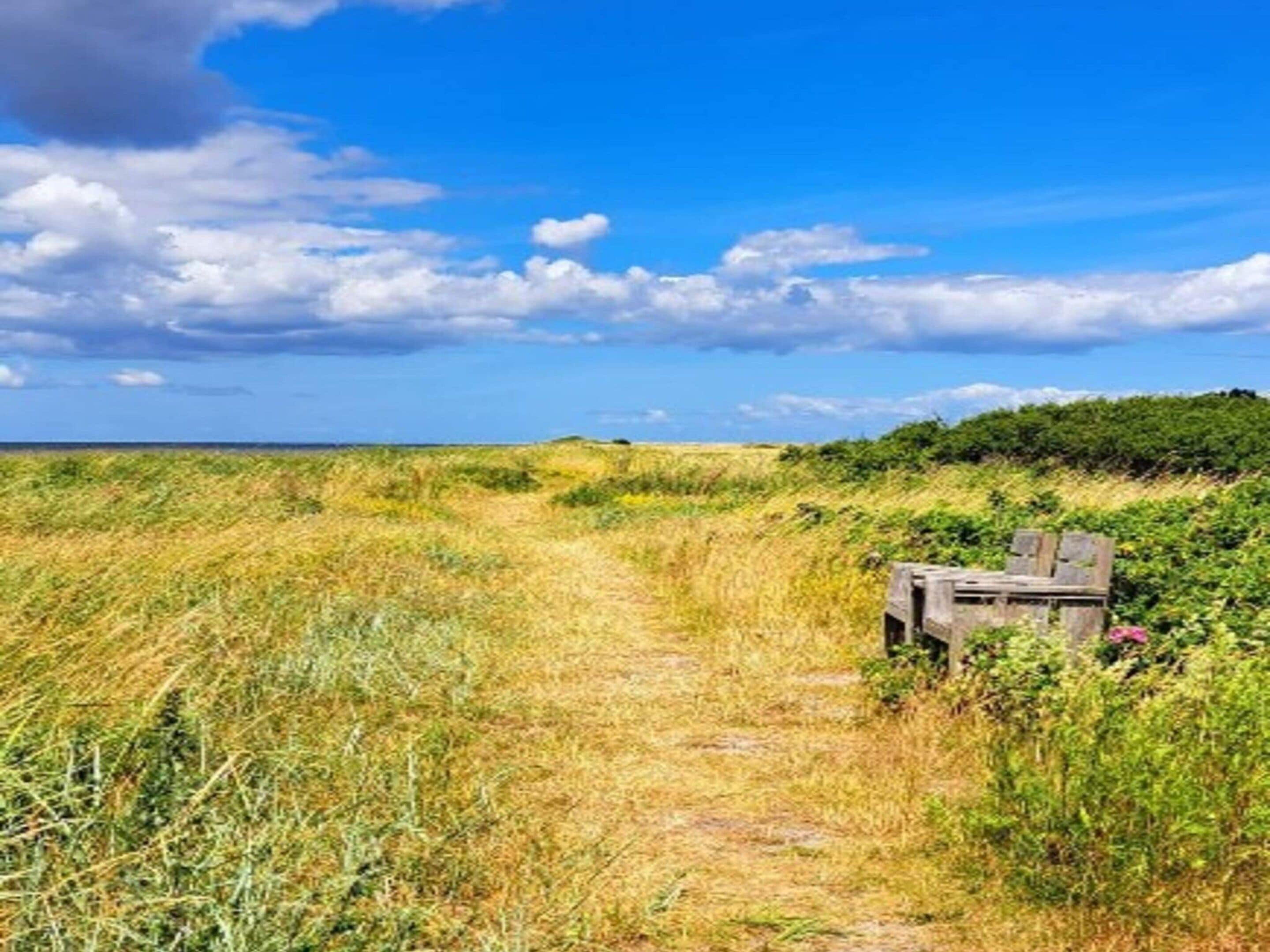A pathway leading through a grassy field with a wooden structure on the right.